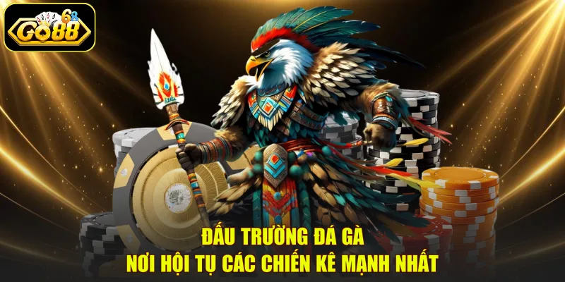 Đấu trường đá gà nơi hội tụ các chiến kê mạnh nhất