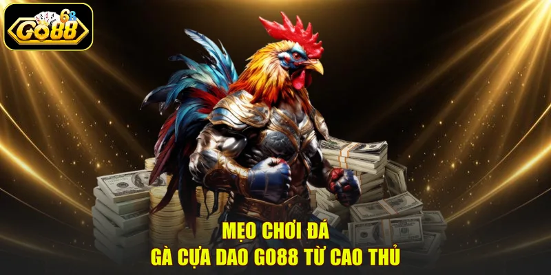 Mẹo chơi đá gà cựa dao GO88 từ cao thủ